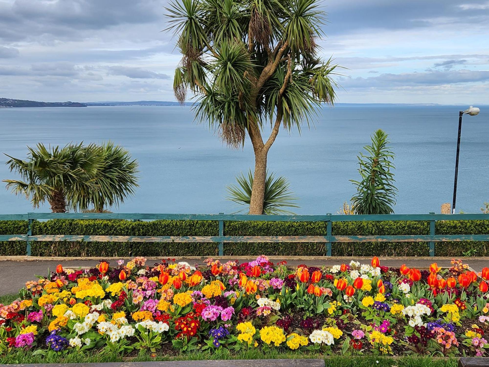 Rose Court Holiday Apartments Torquay Exteriör bild