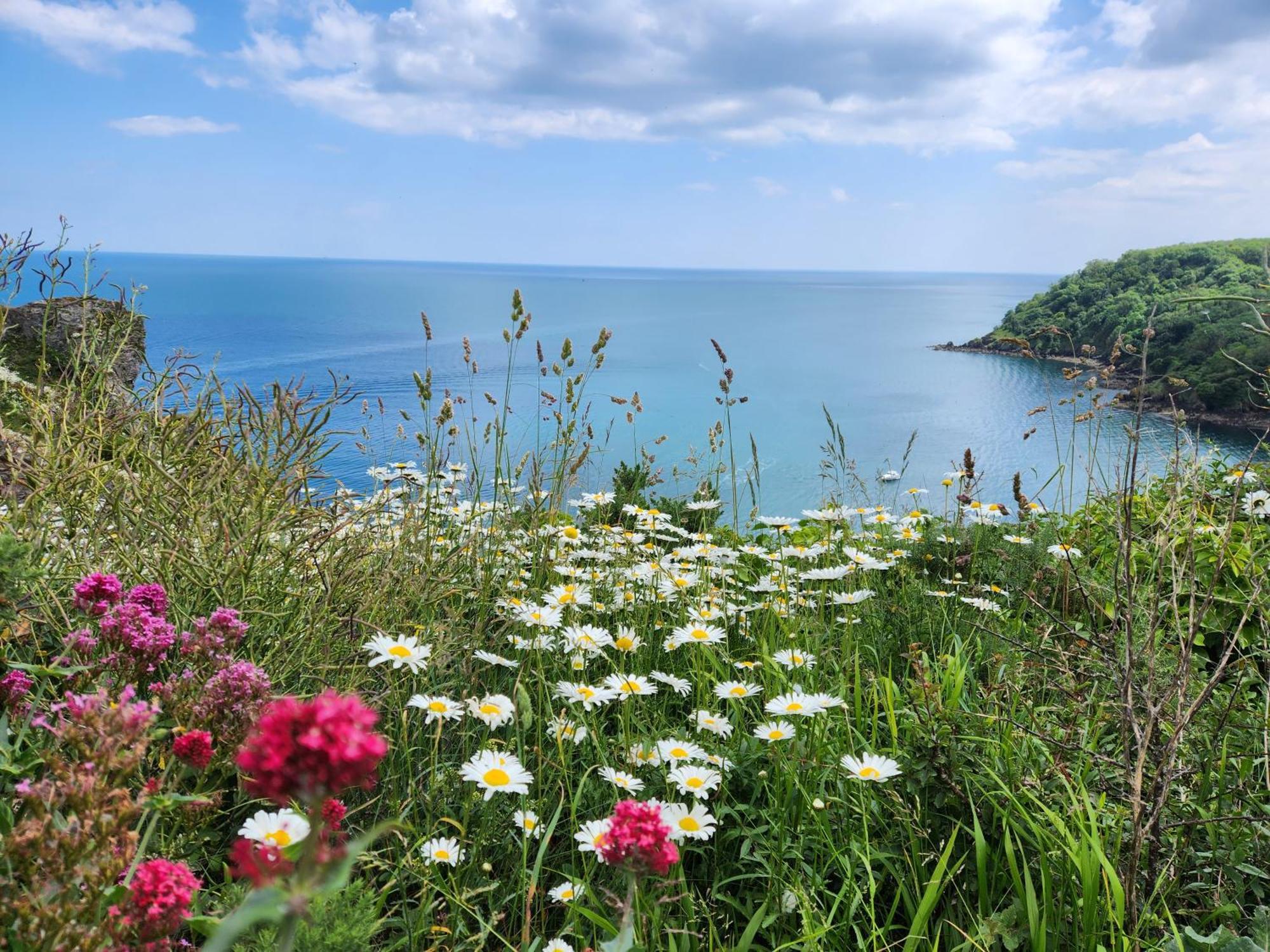 Rose Court Holiday Apartments Torquay Exteriör bild