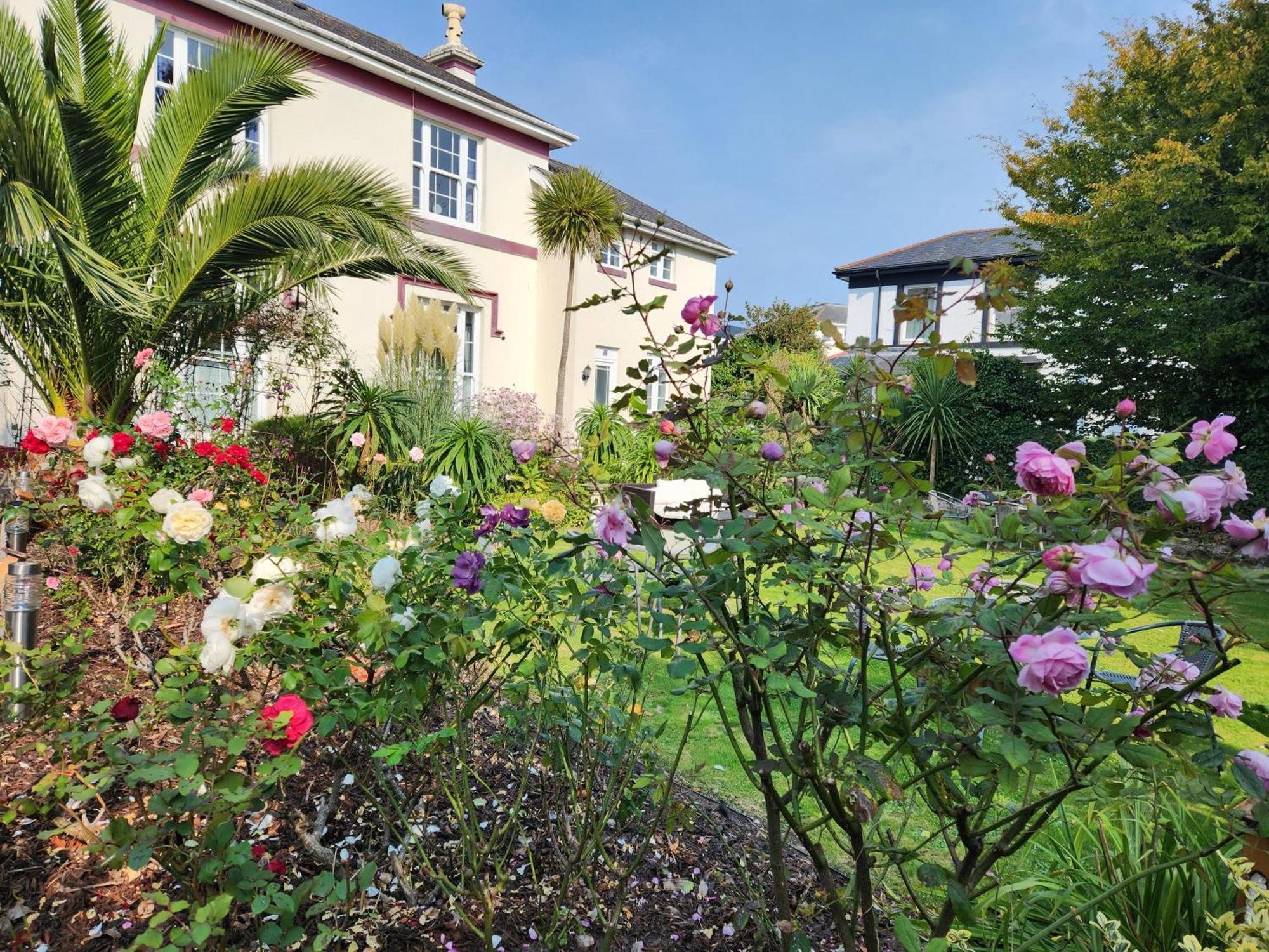 Rose Court Holiday Apartments Torquay Exteriör bild