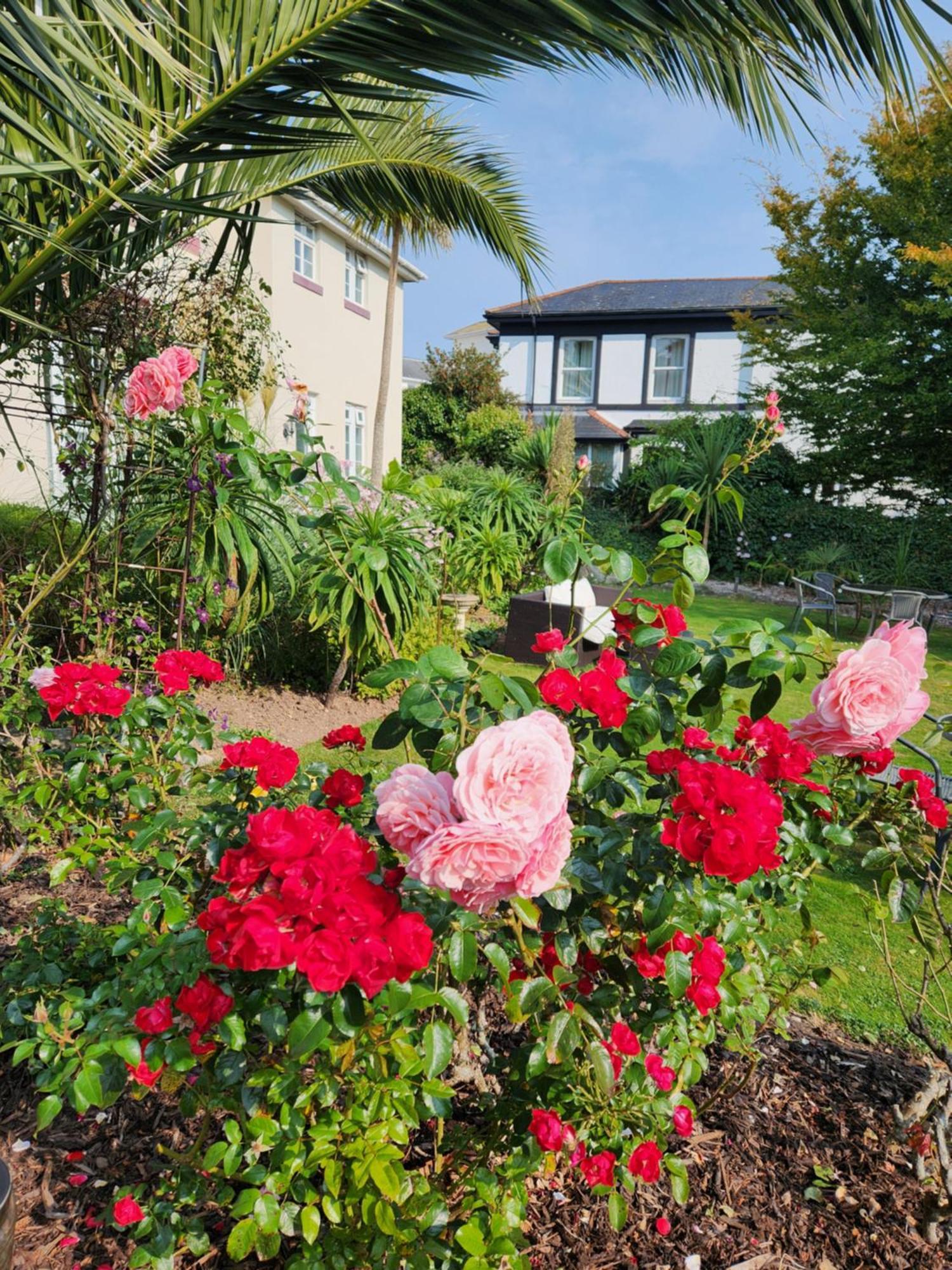 Rose Court Holiday Apartments Torquay Exteriör bild